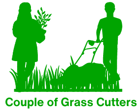 Yard Maintenance Sunshine Coast & Gympie